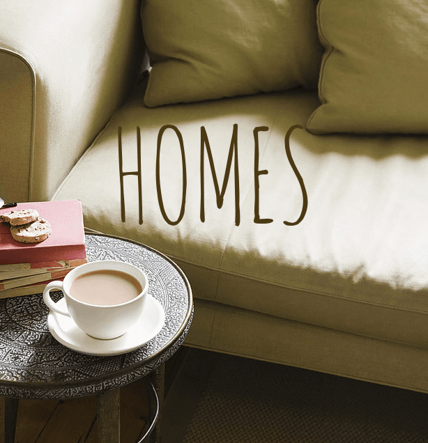 Tidy Gnomes cover photo